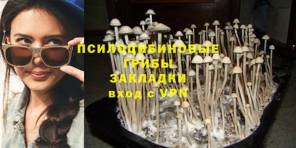 apvp Алексин