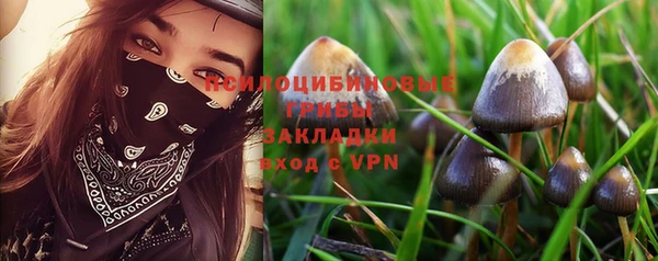apvp Алексин