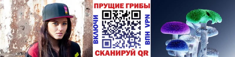 ссылка на мегу зеркало  купить закладку  Старый Оскол  Псилоцибиновые грибы ЛСД 