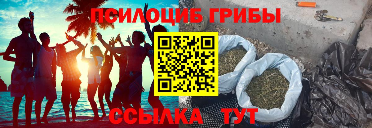 Псилоцибиновые грибы Cubensis  Галлюциногенные грибы мухоморы  Вход с VPN  Старый Оскол 