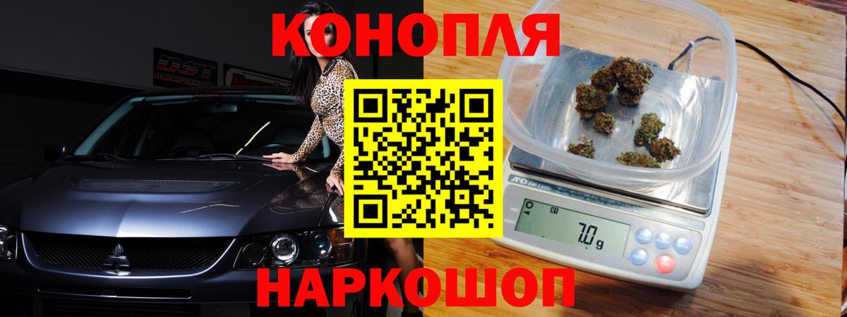 Бошки марихуана гибрид  Шишки марихуана план  Старый Оскол  Вход с VPN  Марихуана планчик 